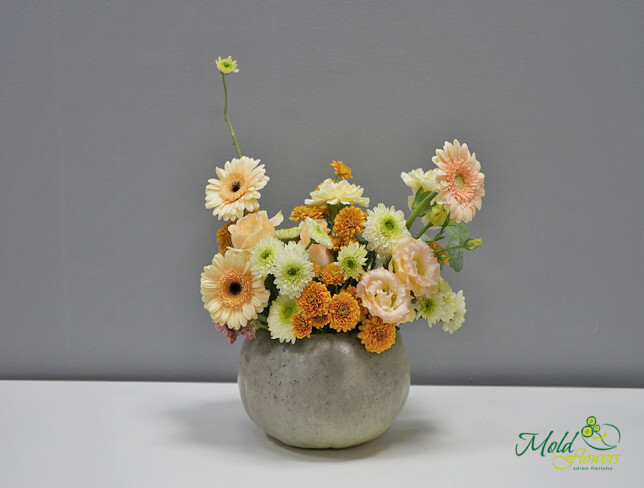 Autumn composition with pumpkin — photo 3